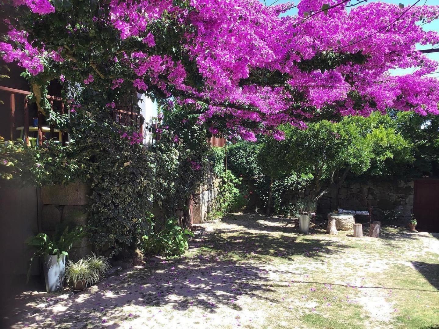 Casa De Cerqueda Apartamento Celorico De Basto Exterior foto