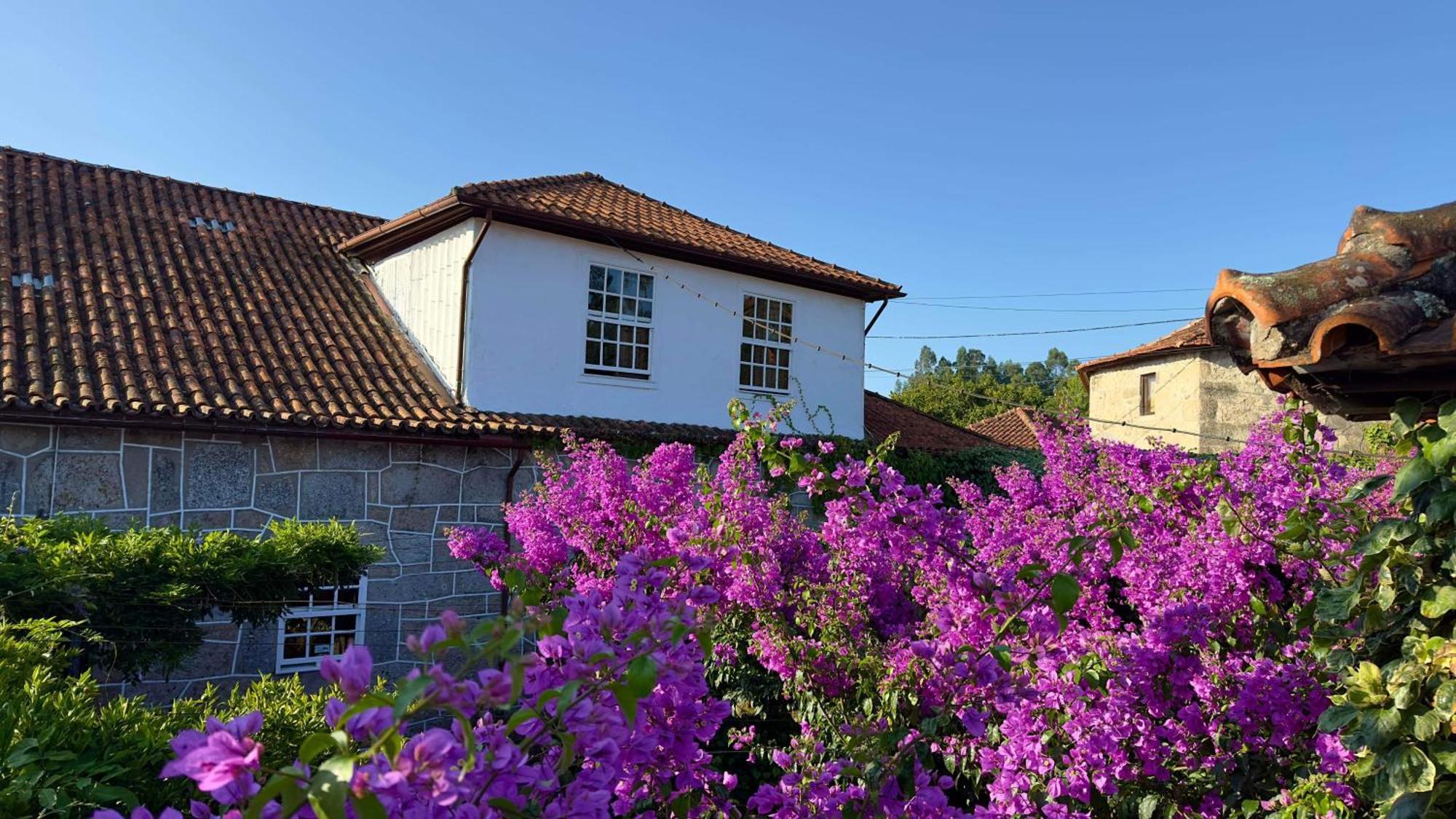 Casa De Cerqueda Apartamento Celorico De Basto Exterior foto