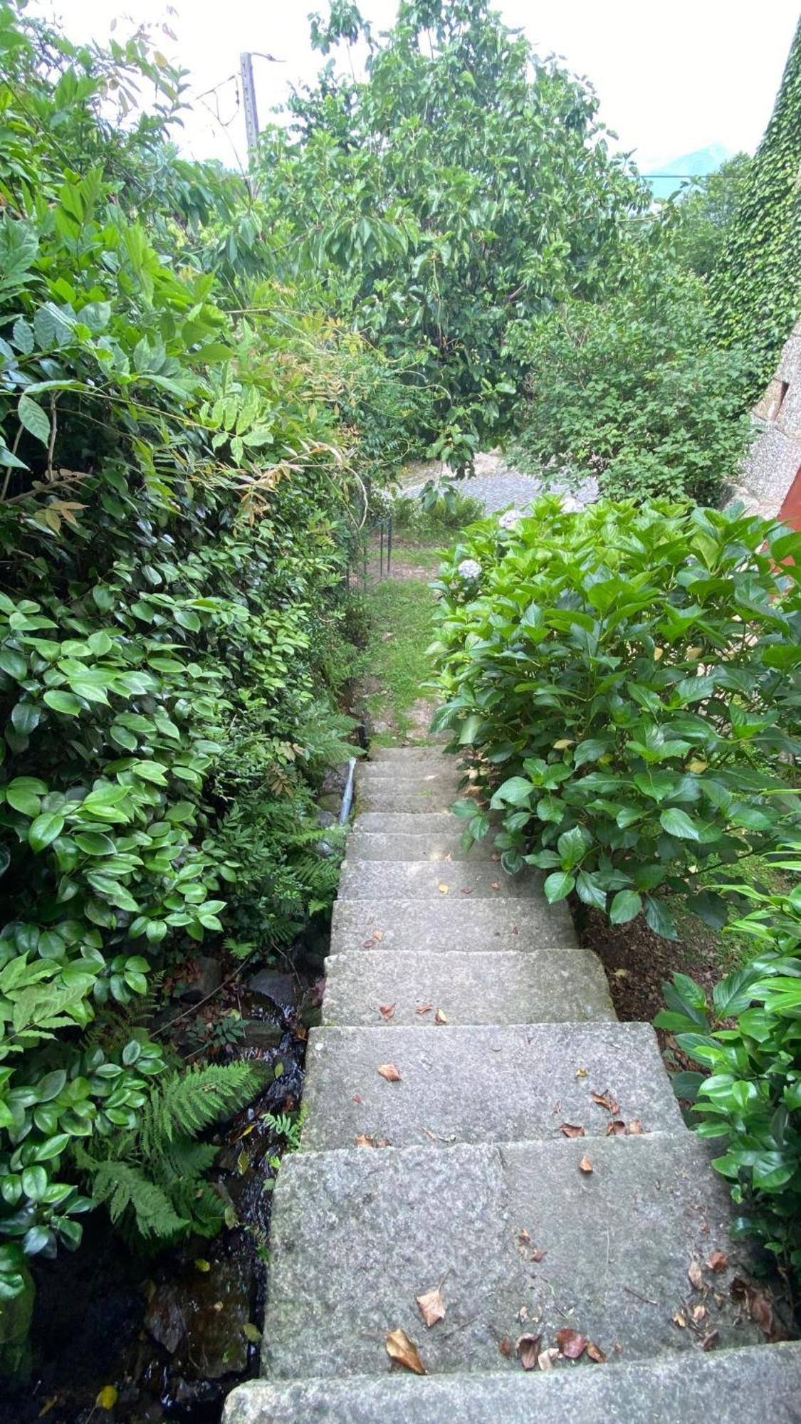 Casa De Cerqueda Apartamento Celorico De Basto Exterior foto